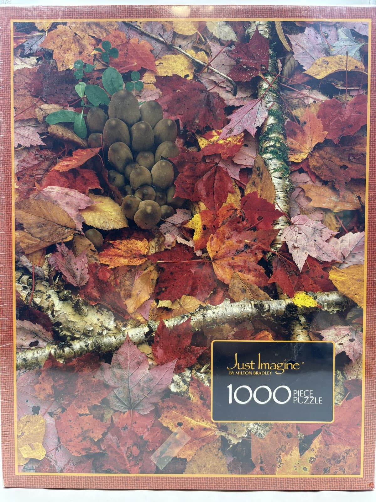 Vintage 1985 Milton Bradley Just Imagine Fall Finale 1000 Pc Puzzle